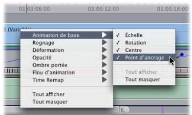 APPLE FINAL CUT PRO 6 - Utilisation des barres Filtres et Animation - 1