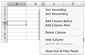 APPLE IWORK 08 - To resize your table by adding columns and rows: - 2