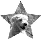 APPLE IWORK 08 - To mask an image with a shape: - 1