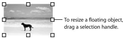 APPLE IWORK 08 - To add a floating object: - 1