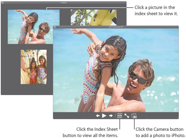 4 items Click a picture in the index sheet to view it. Surf Instructor.tif Click the Index Sheet button to view all the items. Click the Camera button to add a photo to iPhoto.