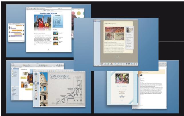Collage of digital art and photography app interfaces featuring titles like 'The Wildlife Misfits' and 'Colosseum Elevation Detail', with visible content blocks and thumbnails.