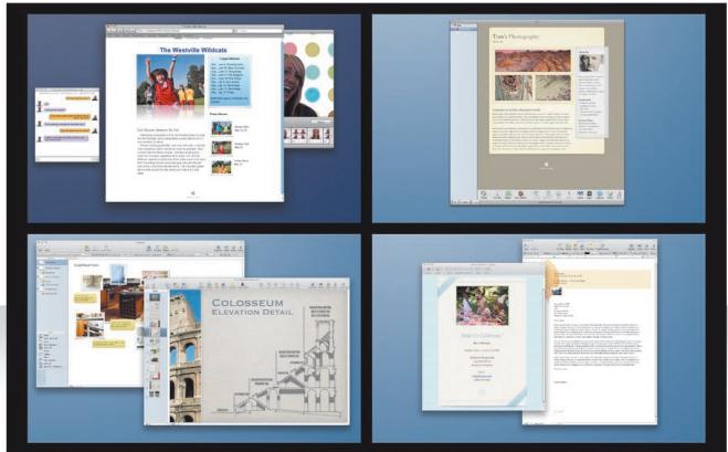 Four-panel collage of web design and content pages, featuring titles like 'The Wildlife Wildcards' and 'Colosseum Elevation Detail', with images and text blocks.