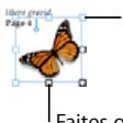 APPLE PAGES - Utilisation des objets flottants et des objets incorporés - 2