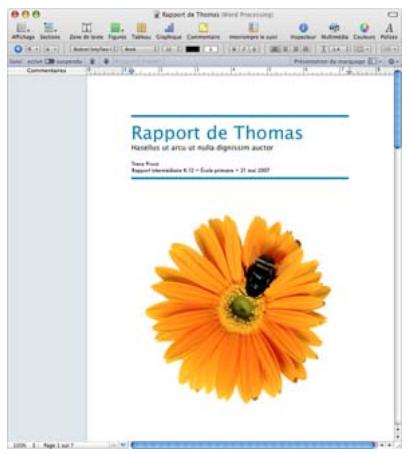 APPLE PAGES - Visite guidée du suivi des modifications - 3