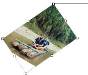 APPLE PAGES 2 - To crop an image using the default (rectangular) mask: - 4