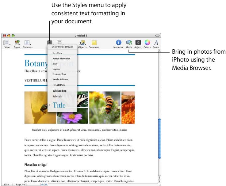 APPLE PAGES 2 - Styles Done Right - 1