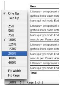 APPLE PAGES 2 - Zoom Levels - 1