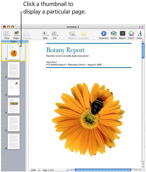 APPLE PAGES 2 - Using Thumbnails - 1