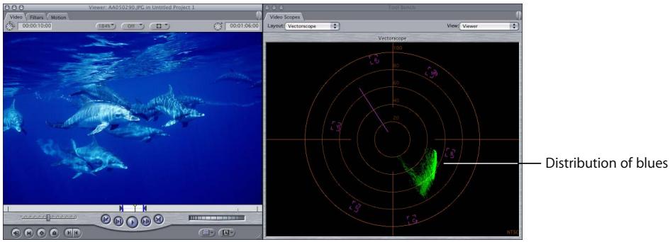 APPLE FINAL CUT PRO 5 - Learning to Read the Vectorscope - 2