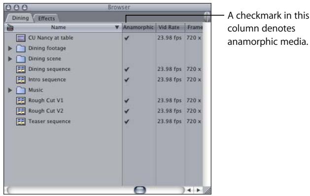 APPLE FINAL CUT PRO 5 - To select the Anamorphic property for a clip: - 2