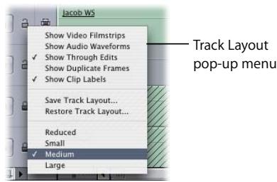 APPLE FINAL CUT PRO 5 - Changing Timeline Display Options - 2