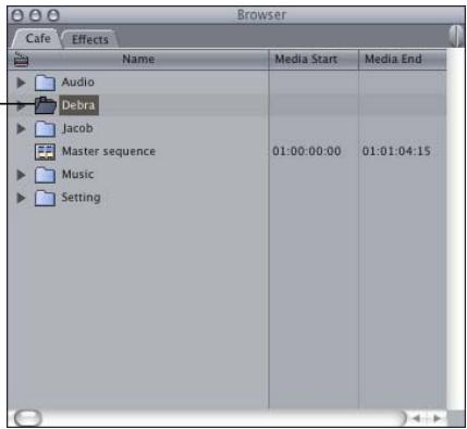 APPLE FINAL CUT PRO 5 - Opening Bins in a Separate Window or Tab - 2