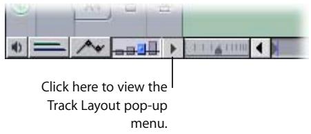 APPLE FINAL CUT PRO 5 - To change Timeline display options using the Track Layout pop-up menu: - 1