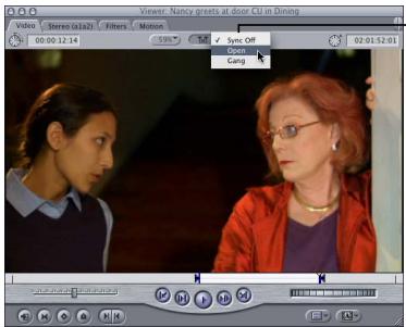 APPLE FINAL CUT PRO 5 - Working With Playhead Sync - 1