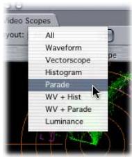 APPLE FINAL CUT PRO 5 - Options in the Video Scopes Tab of the Tool Bench - 1