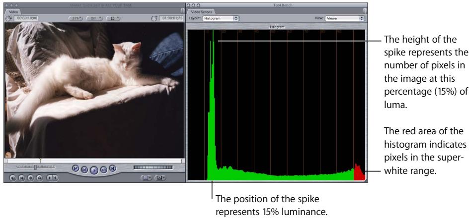APPLE FINAL CUT PRO 5 - Learning to Read the Histogram - 1