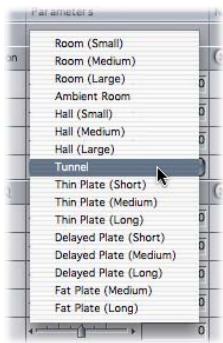 APPLE FINAL CUT PRO 5 - Echo and Reverb Filters - 2