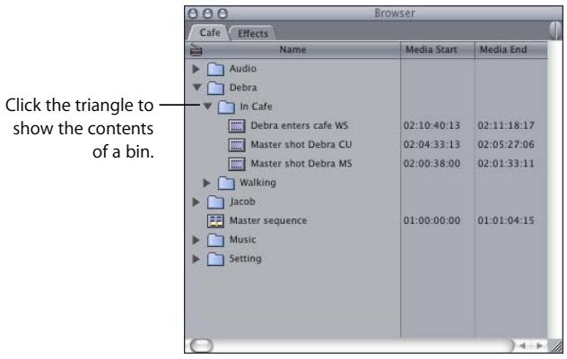 APPLE FINAL CUT PRO 5 - Opening Bins in the Browser - 1