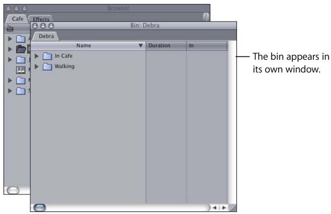APPLE FINAL CUT PRO 5 - Opening Bins in a Separate Window or Tab - 1