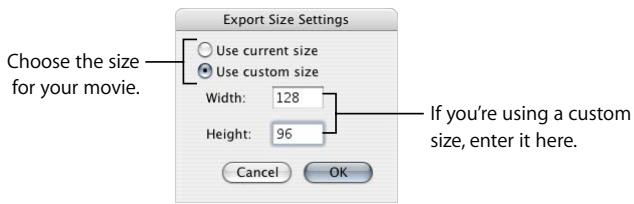 APPLE FINAL CUT PRO 5 - Size Settings - 1