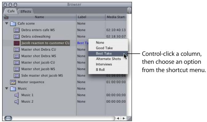 APPLE FINAL CUT PRO 5 - Changing Clip Properties in the Browser - 2