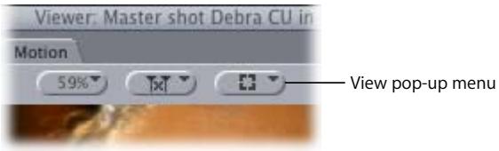 APPLE FINAL CUT PRO 5 - View Pop-Up Menu - 1