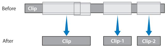 APPLE FINAL CUT PRO 5 - Processing Steps in the Media Manager - 1