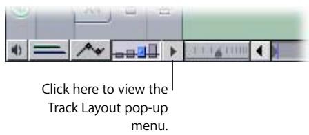 APPLE FINAL CUT PRO 5 - Changing Timeline Display Options - 1