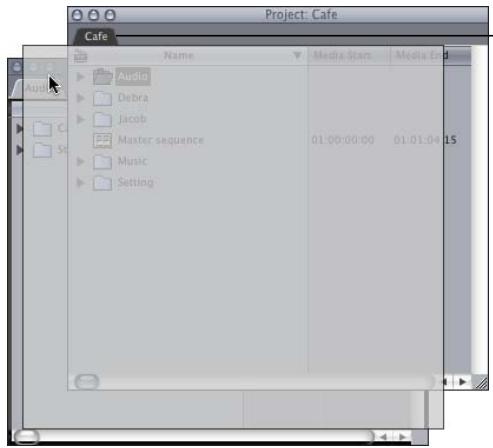 APPLE FINAL CUT PRO 5 - Opening Bins in a Separate Window or Tab - 4