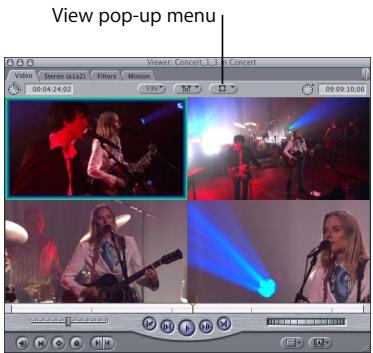APPLE FINAL CUT PRO 5 - Viewing Multiclip Angles in the Viewer - 1