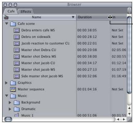 APPLE FINAL CUT PRO 5 - To resize a column: - 1