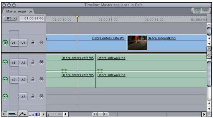 APPLE FINAL CUT PRO 5 - Source In and Out, Record In and Out - 1