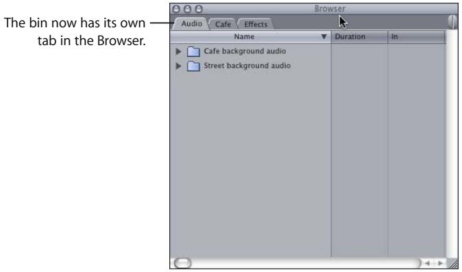 APPLE FINAL CUT PRO 5 - Opening Bins in a Separate Window or Tab - 5