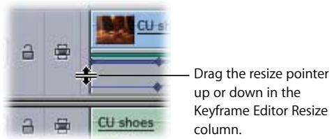APPLE FINAL CUT PRO 5 - To resize a track's keyframe editor: - 1