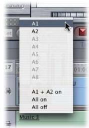 APPLE FINAL CUT PRO 5 - Destination Track Controls - 2