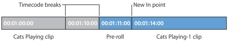 APPLE FINAL CUT PRO 5 - Ordered Timecode Breaks - 2
