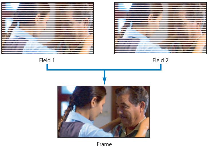 APPLE FINAL CUT PRO 5 - About Interlaced Scanning - 1