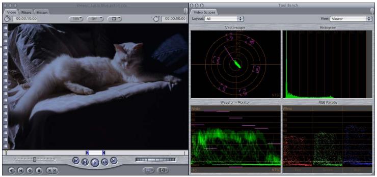 APPLE FINAL CUT PRO 5 - Example: Using the Color Corrector Filter - 1