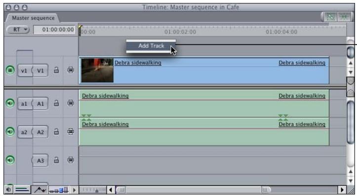 APPLE FINAL CUT PRO 5 - Adding Tracks - 2