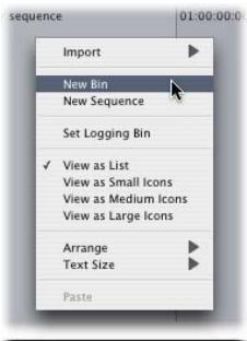 APPLE FINAL CUT PRO 5 - To view and use a shortcut menu: - 1