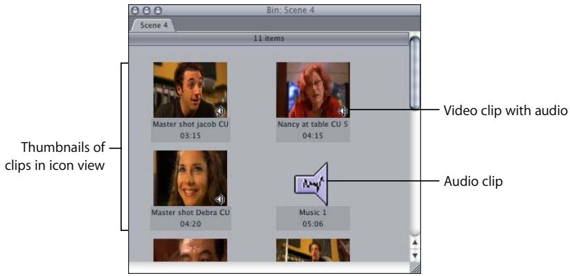 APPLE FINAL CUT PRO 5 - Working With the Browser in Icon View - 1