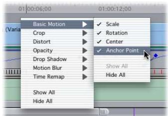 APPLE FINAL CUT PRO 5 - To selectively display which keyframes are visible in a motion bar: - 1