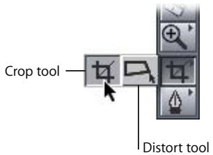 APPLE FINAL CUT PRO 5 - Crop and Distort Tools - 1