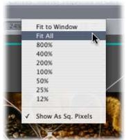 APPLE FINAL CUT PRO 5 - Step 4: Prepare the Viewer and Canvas settings - 2