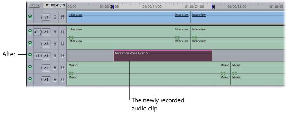 APPLE FINAL CUT PRO 5 - Defining the Destination Track - 4