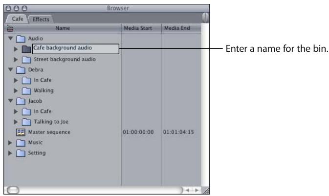 APPLE FINAL CUT PRO 5 - To add a new bin to a project: - 1