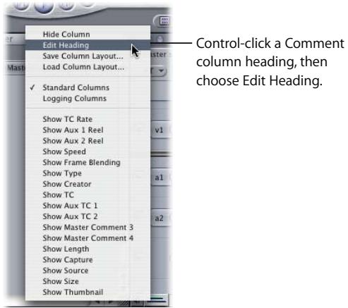 APPLE FINAL CUT PRO 5 - To change the names of the Master Comment or Comment column headings: - 1