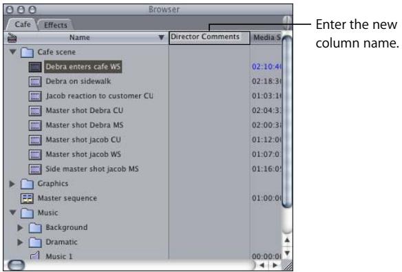 APPLE FINAL CUT PRO 5 - To change the names of the Master Comment or Comment column headings: - 2