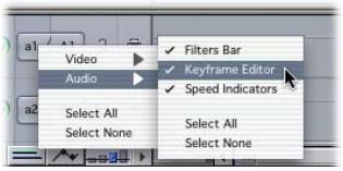 APPLE FINAL CUT PRO 5 - To view a specific parameter's keyframe graph line in the keyframe editor: - 1